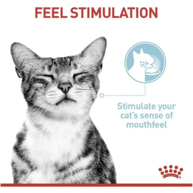 Royal Canin Sensory Feel Jelly, Nassfutter für ausgewachsene Katzen, Stückchen in Gelee, 12 x 85 g, zur Anregung des Mundgefühls, instinktiv bevorzugt – Bild 5
