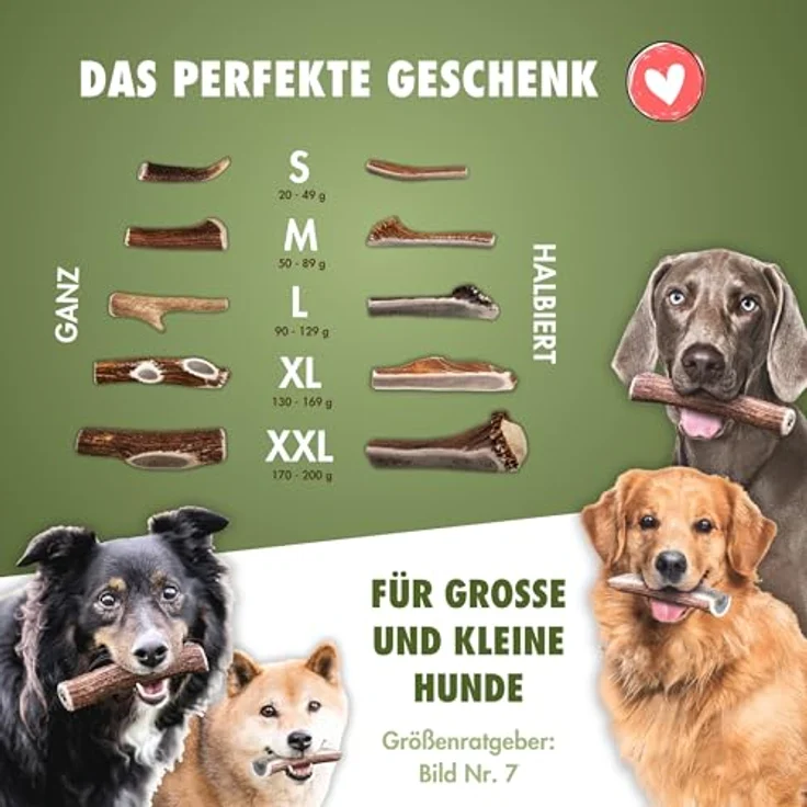 FOURLEGS® natürlicher Kausnack für Hunde aus 100% Hirschgeweih, Größe M, Sparpaket (5 Stück) - mineralstoffreich, geruchsneutral, langlebig, ohne Zusatzstoffe – Bild 2