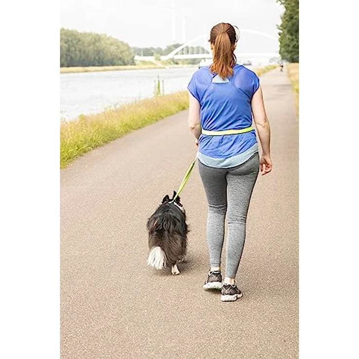 Flamingo JOGGINGLEINE + TAILLENGURT DIRAN, Nylon mit Neoprenfutter, gelb, Leine 118 cm / Gurt 76-100 cm – Bild 2