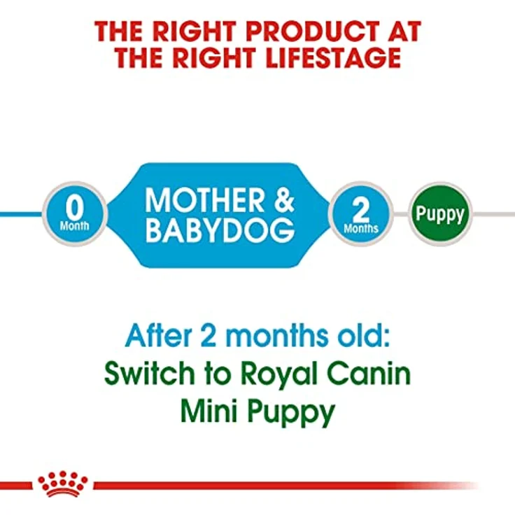 Royal Canin Mini Starter Mother & Babydog, Trockenfutter für trächtige und säugende Hündinnen sowie Welpen, 1 kg – Bild 4