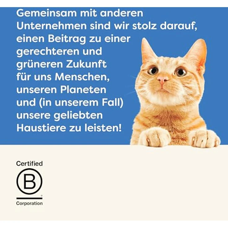 Applaws natürliche Katzen-Nassfutter für ältere Katzen, Thunfisch mit Lachs in Brühe, 70 g Dose (24er Pack), 71% Fisch – Bild 3