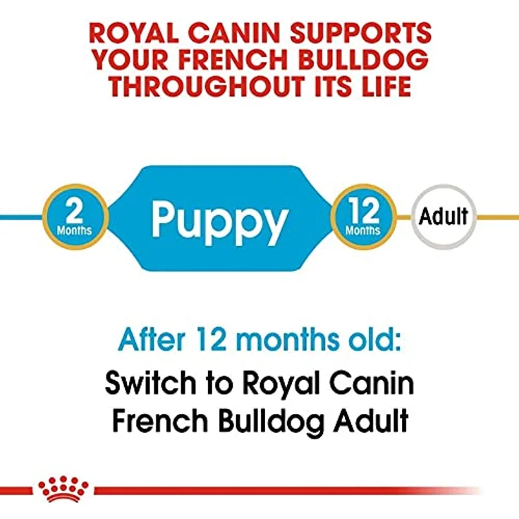 ROYAL CANIN Französische Bulldogge Puppy 10 kg, Hundefutter für Welpen mit speziellen Kroketten und Antioxidanzien für gesunde Haut und Verdauung – Bild 5