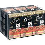 Cesar Megapack Schale 24 x 150 g, Classic Terrine, 100% ausgewogenes Nassfutter für Hunde mit natürlichen Zutaten