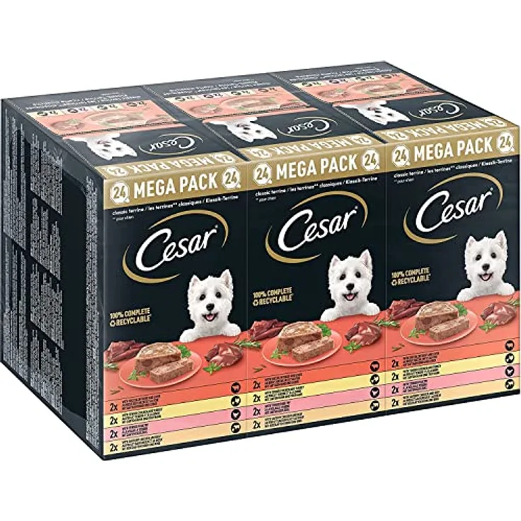 Cesar Megapack Schale 24 x 150 g, Classic Terrine, 100% ausgewogenes Nassfutter für Hunde mit natürlichen Zutaten