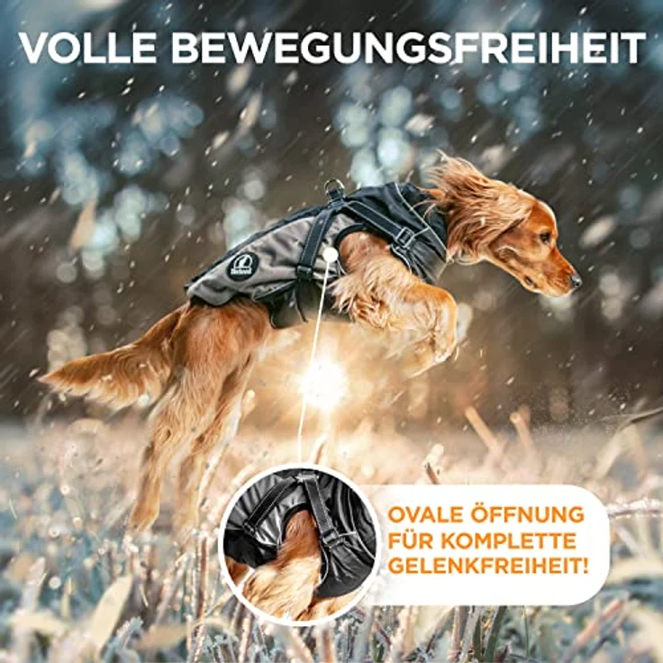 Tierhood Regenmantel Hund, wasserdicht mit integriertem Geschirr, reflektierende Hunderegenjacke für kleine Hunde – Bild 5