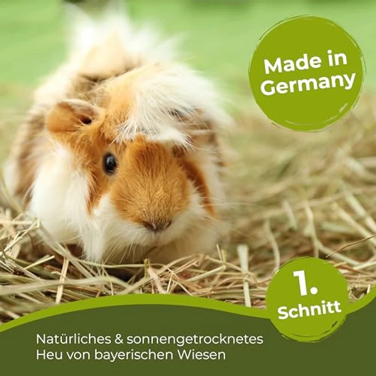 Bolson Wiesenheu, frisches & unbehandeltes 1. Schnitt Heu, 15 kg mit Gräsern & Blüten aus Bayern, ideal für Fütterung & Einstreu von Kaninchen und Hamstern – Bild 3