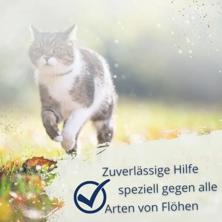 Iperon IPERON® Flohschutz Shampoo, 200 ml - Natürliche Abwehr gegen Flöhe, Zecken & Milben, sofortige Schutzwirkung – Bild 4