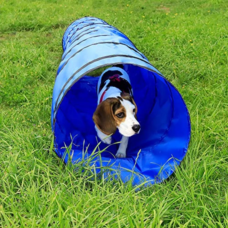 lionto Outdoor Tunnel, faltbarer Agility Tunnel für große & kleine Hunde, 300x50 cm, reißfestes Material mit Heringen, praktische Tragetasche, blau – Bild 2