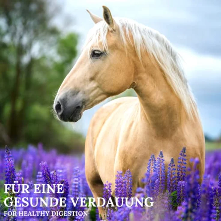Stiefel Leingranulat, 100% natürlicher fütterungsfertiger Leinkuchen zur Verdauungsunterstützung & Fellwechsel, Kaltpressung, 5kg – Bild 4