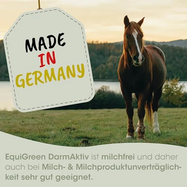 cdVet EquiGreen DarmAktiv, Ergänzungsfuttermittel für Pferde zur Unterstützung der Darmflora, 1 l, fermentiert, zuckerfrei, milchfrei – Bild 4