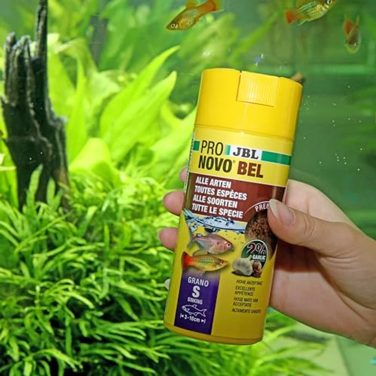JBL PRONOVO BEL GRANO, Fischfutter-Granulat für Aquarienfische 3-10 cm, prebiotisch, hohe Akzeptanz, 250 ml – Bild 4