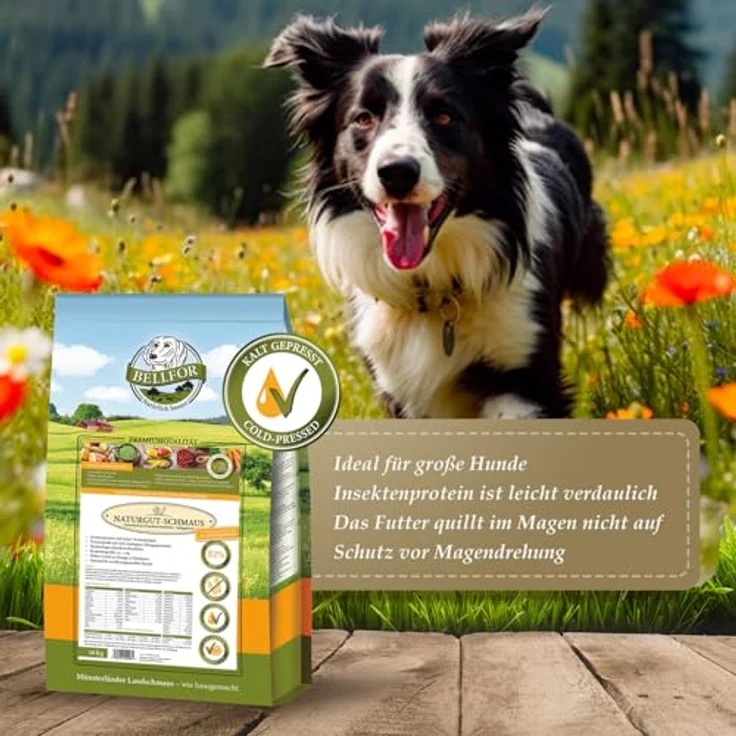 Bellfor Naturgut-Schmaus, Kaltgepresstes hypoallergenes Trockenfutter für ernährungssensible Hunde mit Insekten, getreidefrei, 4 kg – Bild 4