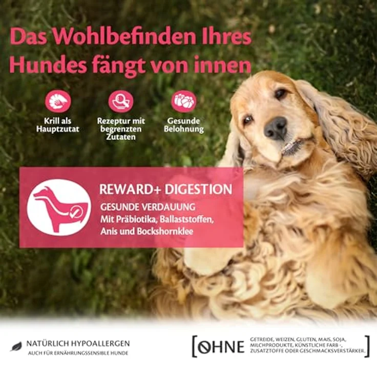 Wellness CORE Reward+ Krill, getreidefreie Hundeleckerli zur Belohnung, 170g, fördert gesunde Verdauung und Wohlempfinden – Bild 4