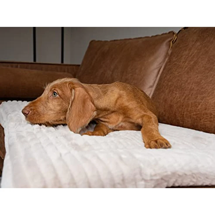 TrendPet Harmony, gefütterte Hundedecke und Katzendecke mit 4cm weicher Füllung, waschbar bei 30 °C, Creme, 60x45cm – Bild 5