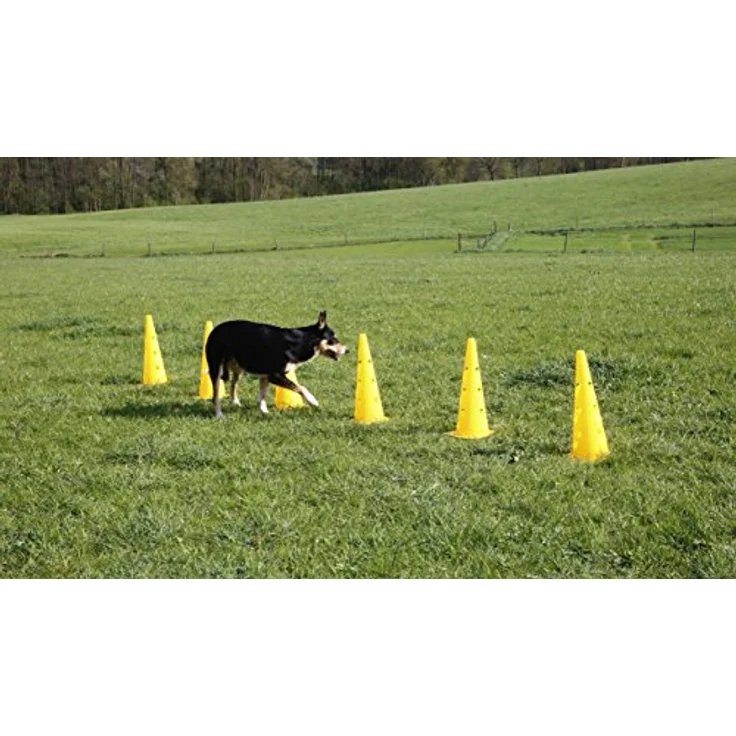 Kerbl Pet Agility Pylonen-Hürden Set, gelb, 3 höhenverstellbare Hürden für Slalomlauf und Training, inkl. 6 Pylonen und 3 zerlegbaren Kunststoffstangen – Bild 4