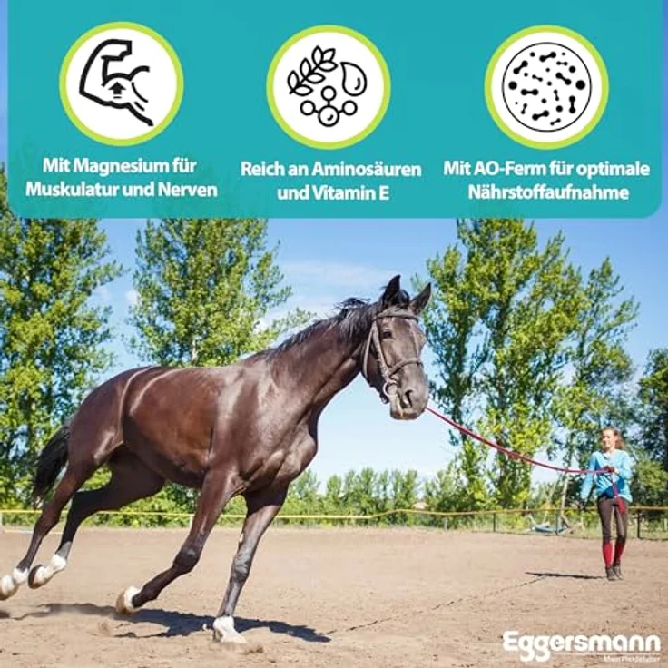 Eggersmann Mein Pferdefutter Vitalize Gastro Plus E, 20 kg getreidefreies Pferdefutter für magenempfindliche Pferde, mit Magnesium für Muskulatur und Nerven, ballaststoffreich und gut verdaulich – Bild 3