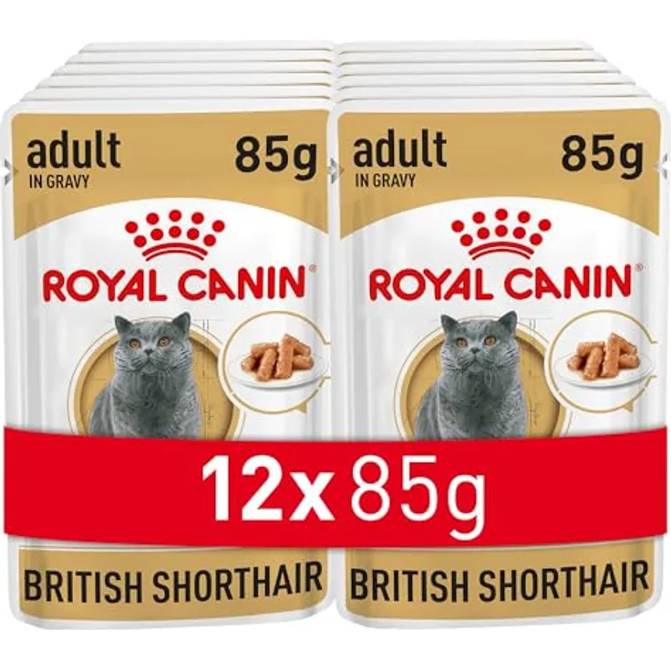 Royal Canin Adult British Shorthair Nassfutter, 12 x 85 g, Alleinfuttermittel mit niedrigen Energiegehalt und erhöhter Harnwegsgesundheit