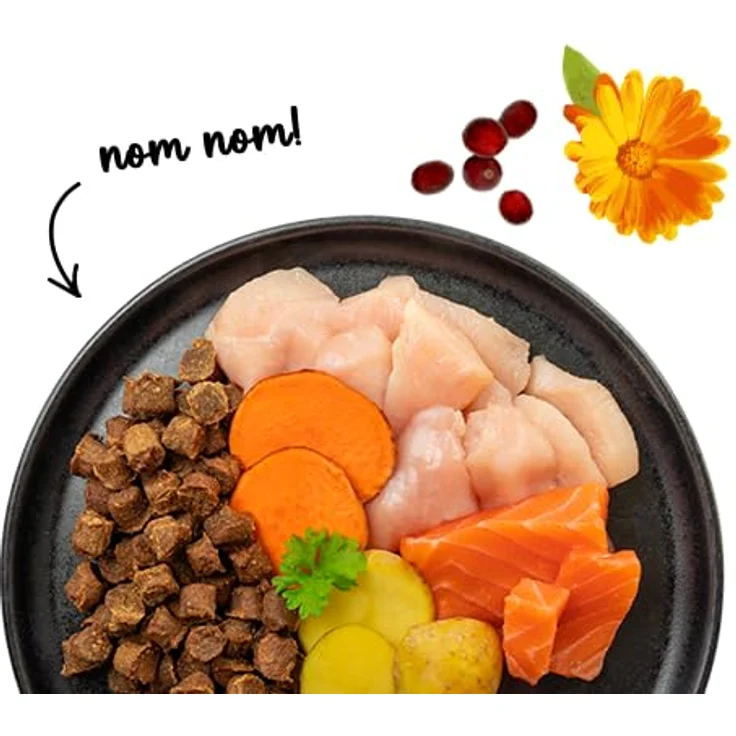 Sanabelle Trockenfutter Katze, Adult, Nordsee-Lachs, Vollnahrung mit frischem Fleisch, 250 g – Bild 9