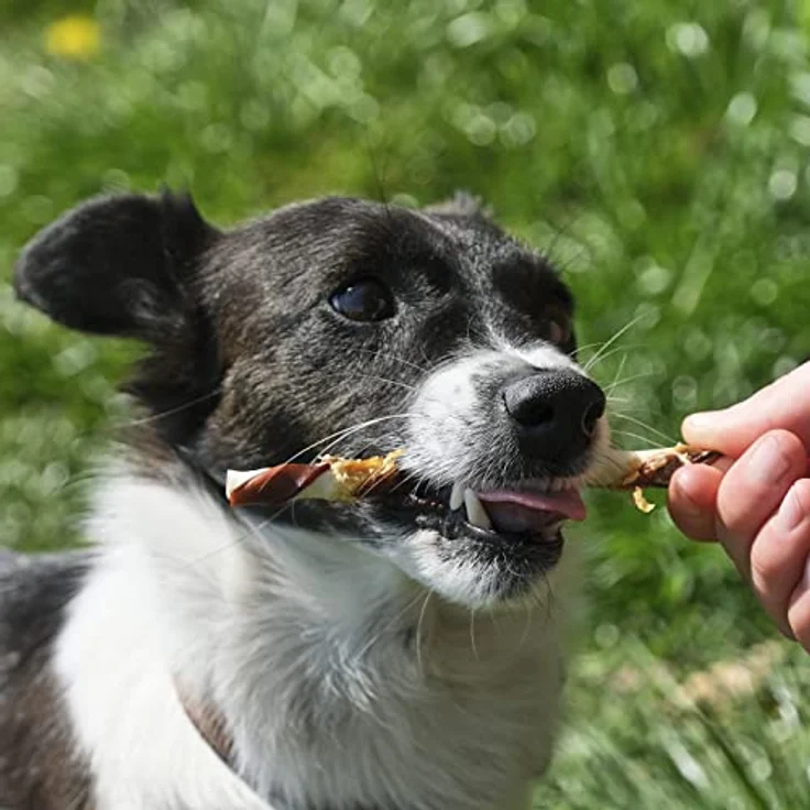 8in1 Triple Flavour Twists, Kausticks mit dreifachem Geschmack, 10 Stück für Hunde bis 12 kg – Bild 7