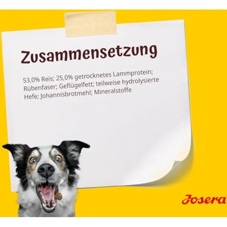 Josera All Sizes Adult Lamb und Rice, Trockenfutter für ausgewachsene Hunde aller Größen und Rassen, 900 g – Bild 9