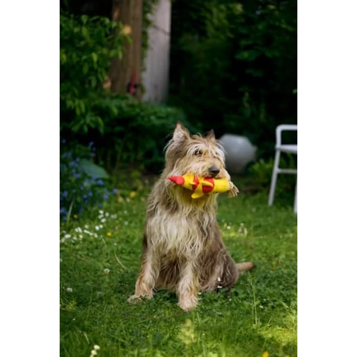 Josera All Sizes Senior Balance, Hunde-Trockenfutter für ältere Hunde mit geringem Energiebedarf, 12,5 kg – Bild 4