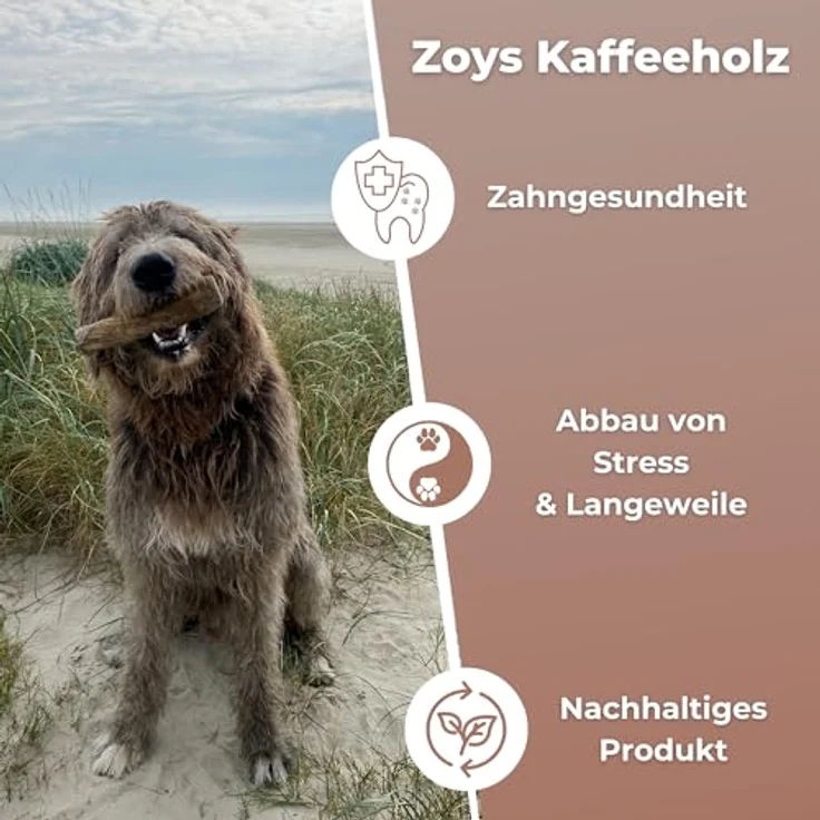 ZOYS Kaffeeholz für Hunde, Natürlicher Kauknochen für Zahnreinigung & Zahngesundheit, langlebig & risikoarm, Größe XXL, 1 Stück – Bild 4