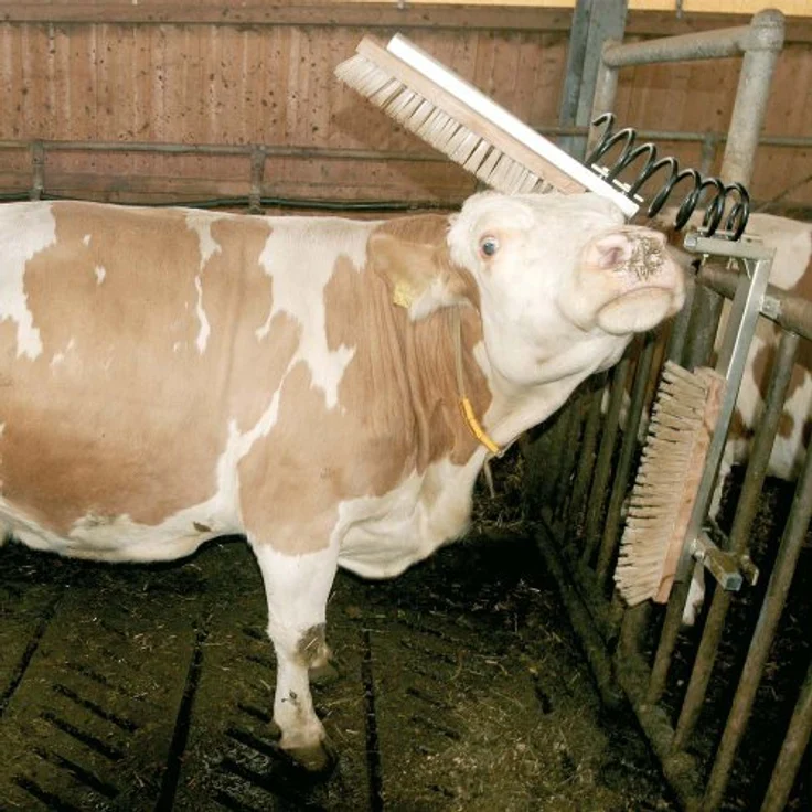 Kerbl Viehbürste Texas, Stabile Ausführung mit horizontaler Bewegung, für Rinder, Kühe und Pferde – Bild 3
