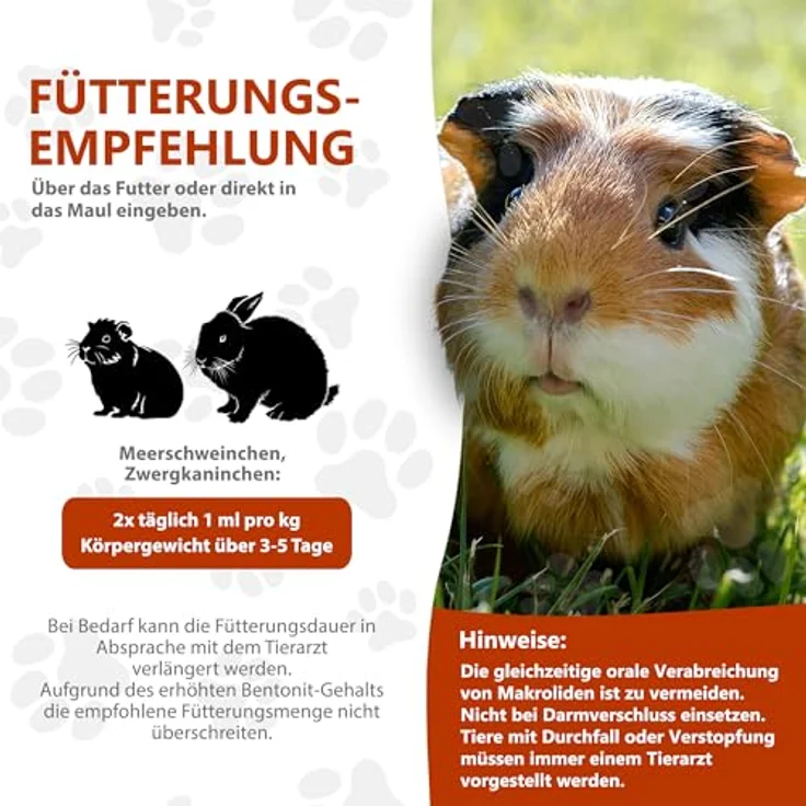 Alfavet RodiCare Dia, Ergänzungsfuttermittel für Zwergkaninchen und Meerschweinchen bei Durchfall, mit Natriumbutyrat, zuckerfrei, 3 Injektoren à 12 ml – Bild 5