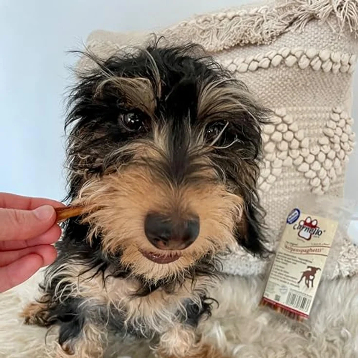 Carnello Welpenspaghetti, getreidefreier Hundesnack für kleine Hunde, 8 x 30g, unterstützend für die Darmflora, mit natürlichen Zutaten, wiederverschließbarer Beutel – Bild 4