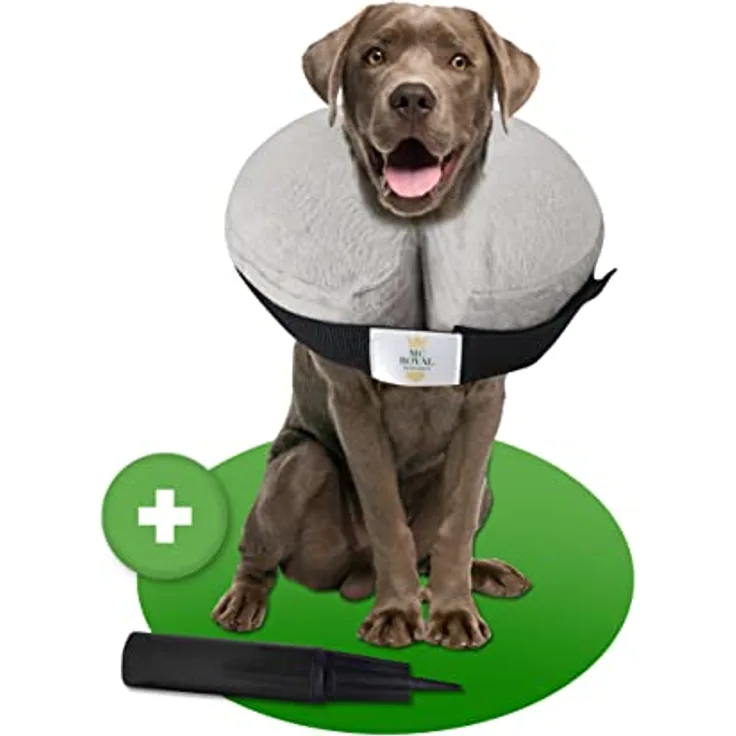 MC-Royal® Premium Halskrause, aufblasbare Halskrause für Hunde und Katzen mit ergonomischem Design, waschbarem Velourbezug, zuverlässigem Klettverschluss und einfacher Handhabung
