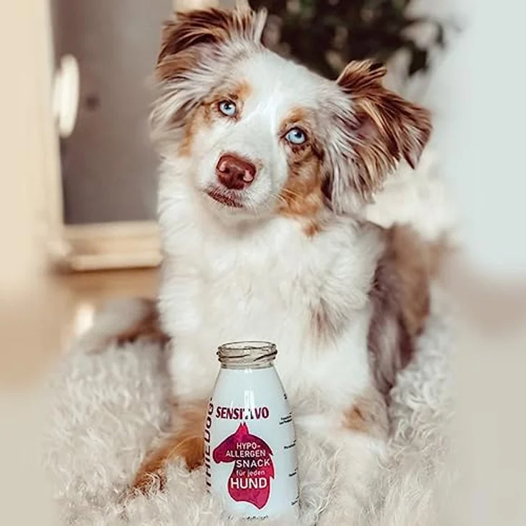 SmoothieDog Hunde Smoothie Sensitivo (Pferd), Hypoallergen, Zucker- & glutenfrei, 6er Pack, je 250ml – Bild 4