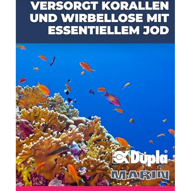 Dupla Marin Jod 24, 50 ml, essentielles Spurenelement für Meerwasseraquarien zur Nährstoffversorgung von Korallen, Krebstieren und Algen – Bild 3