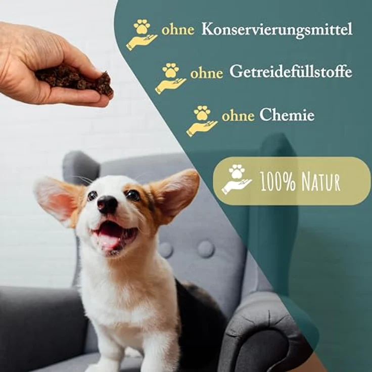 WuffSnacks Getreidefreie Hunde Leckerlis vom Hirsch, 500g, hypoallergen und 100% natürliche Trainingssnacks, zuckerfrei, geeignet für alle Hundegröße – Bild 4