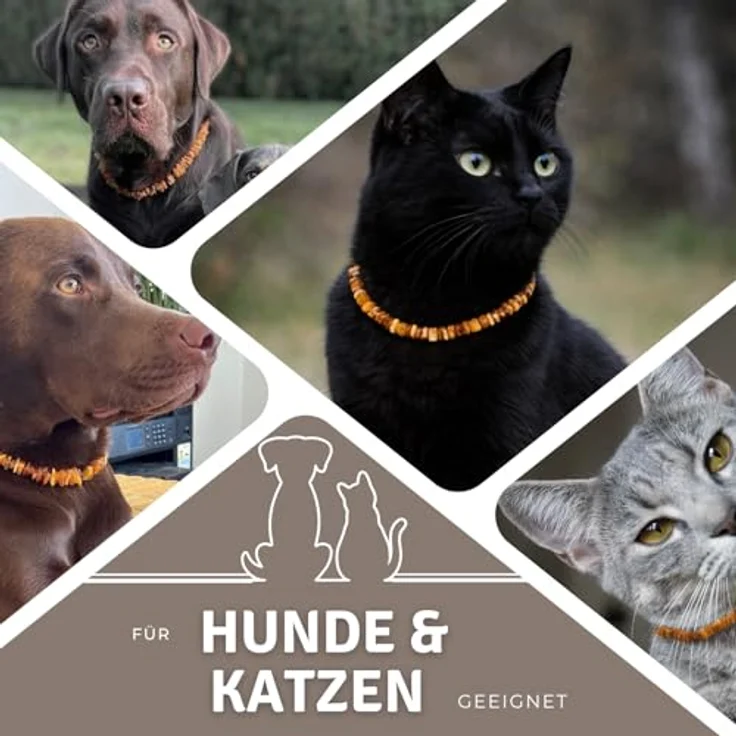 PetLove Bernsteinkette für Hunde & Katzen, verstellbar 20-25 cm, 100% baltischer Bernstein, handgemacht, natürlich – Bild 4