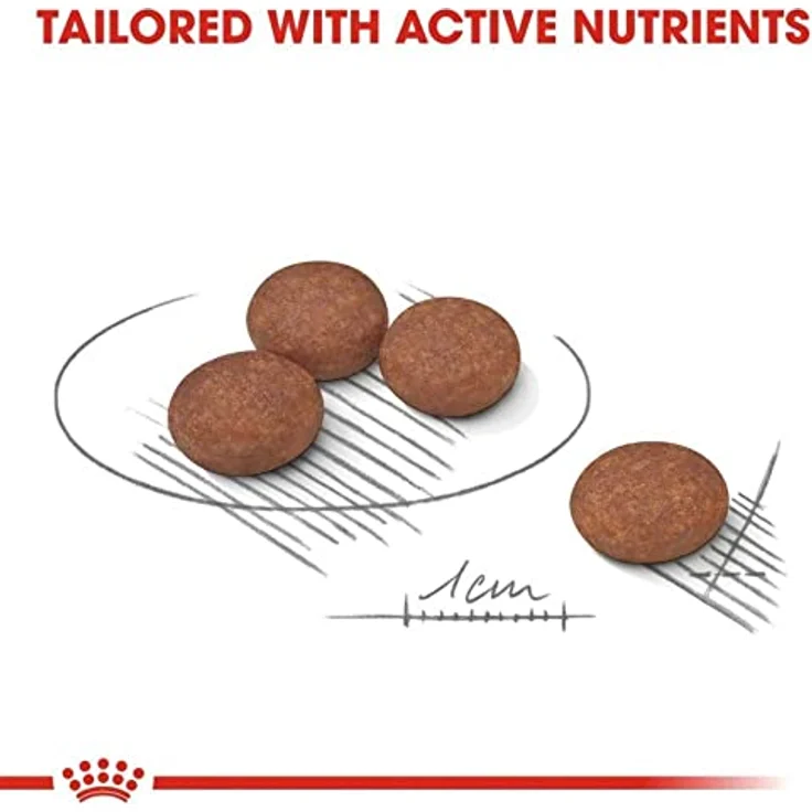 Royal Canin DIGESTIVE CARE MINI, Trockenfutter für kleine Hunde mit empfindlicher Verdauung, 3kg – Bild 3
