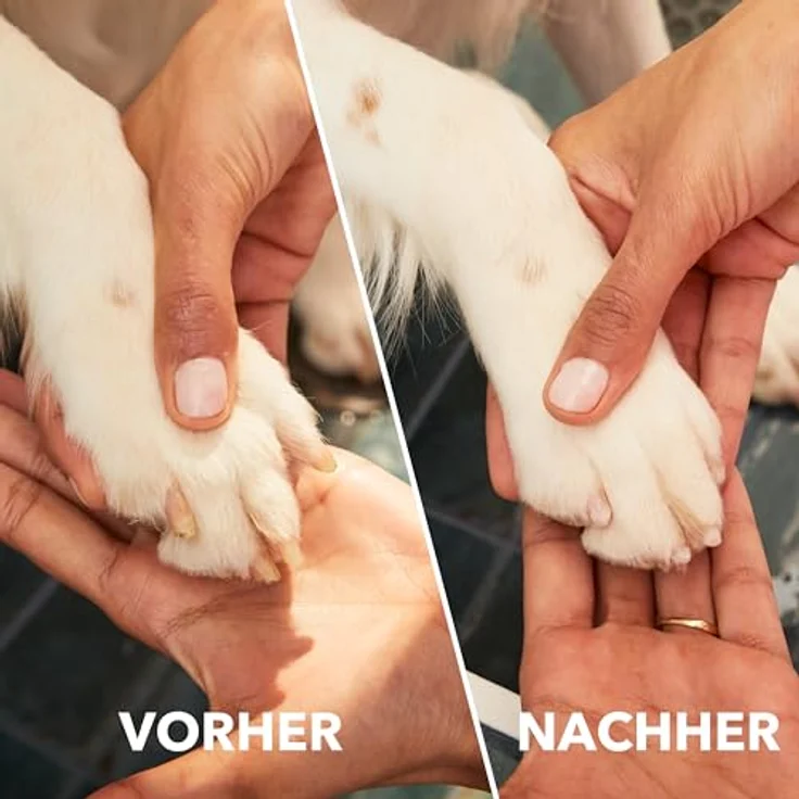 Dremel 7350 PET Krallenpflegese, leichte 3.6V Akku-Rotationswerkzeug mit 2 Schleifzubehören, Nagelschutzaufsatz und USB-Kabel, ideal für Hunde und Katzen – Bild 5