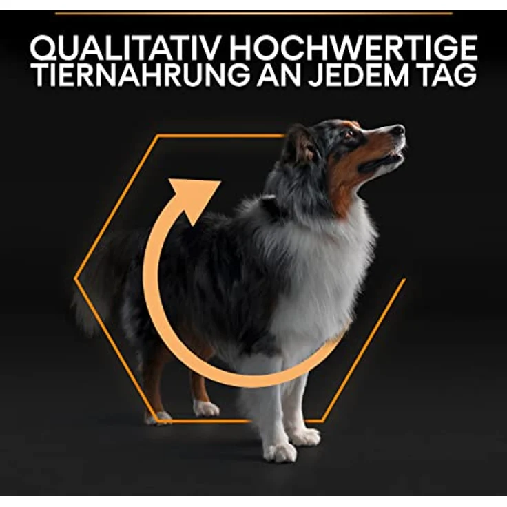 Pro Plan PRO PLAN Adult Medium Everyday Nutrition Huhn, Trockenfutter für ausgewachsene Hunde, 3 kg, nährstoffreich und zur Zahnpflege – Bild 7