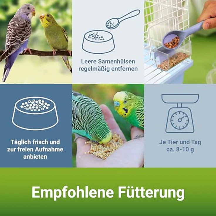 Panto ® WELLENSITTICHFUTTER MIT PLURAMIN® 1 kg, nährstoffreiche Saatenmischung für Wellensittiche – Bild 4