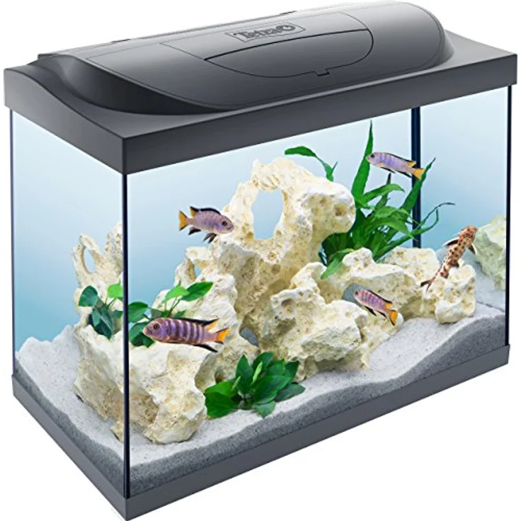 Tetra Starter Line LED 80L Black – Bild 2