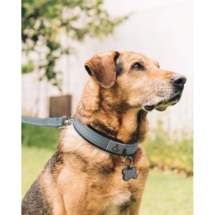 Joytale Neopren Hundehalsband für Extra Große Hunde, Gepolstert, Reflektierend, 58–68 cm, Grau – Bild 3