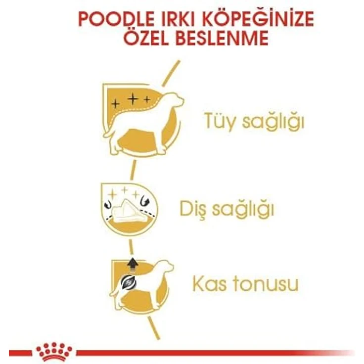 Royal Canin Poodle Adult, 3 kg Trockenfutter für ausgewachsene Pudel, Unterstützung von Fell und Muskeltonus, für Hunde ab dem 10. Lebensmonat – Bild 4