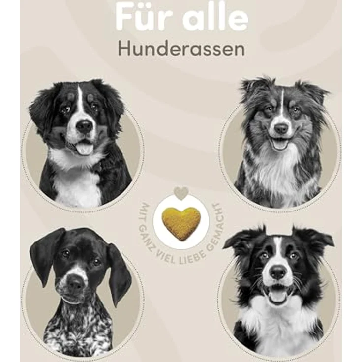 happycor® Jumpy Joy Gelenk-Leckerli für Hunde & Senioren, 240g mit MSM & Curcumin – Unterstützt Mobilität & Agilität – Gebackene Funktionssnacks, 120 Stück – Bild 3