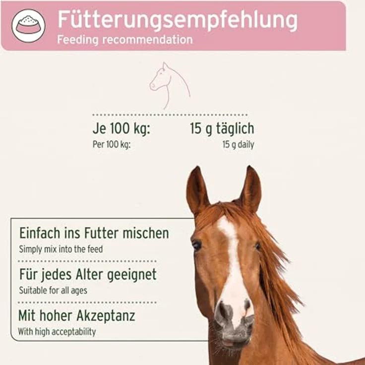 AniForte Ägyptische Schwarzkümmelsamen, 100 % natürliche Samen zur Unterstützung von Immunsystem und Darmflora, 1 kg – Bild 4