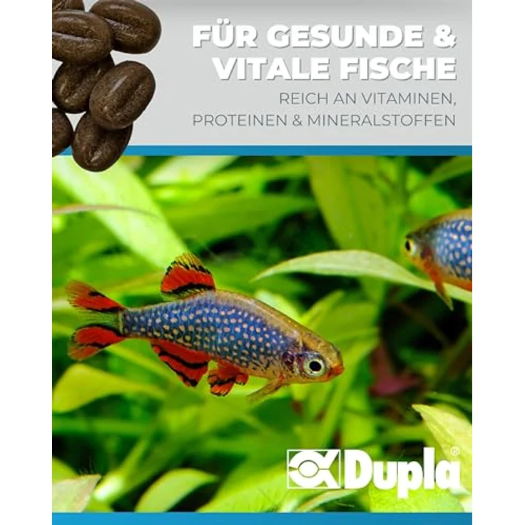 Dupla Gel-O-Drops 24 Bugs & Proteins, Geleefischfutter für tägliche Fütterung, 12 x 2 g, nährstoffreich, leicht dosierbar, ungekühlt lagerbar – Bild 3