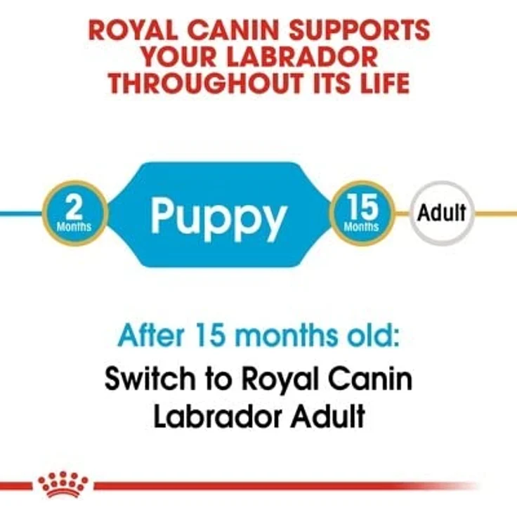 Royal Canin Labrador Junior, Hunde-Trockenfutter für junge Labradore mit optimaler Nährstoffversorgung – Bild 4