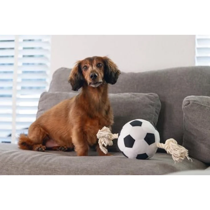 Beeztees Hundespielzeug Fußball mit Seil, plüschig, schwarz/weiß, für Apportieren und Zerrspiele – Bild 3