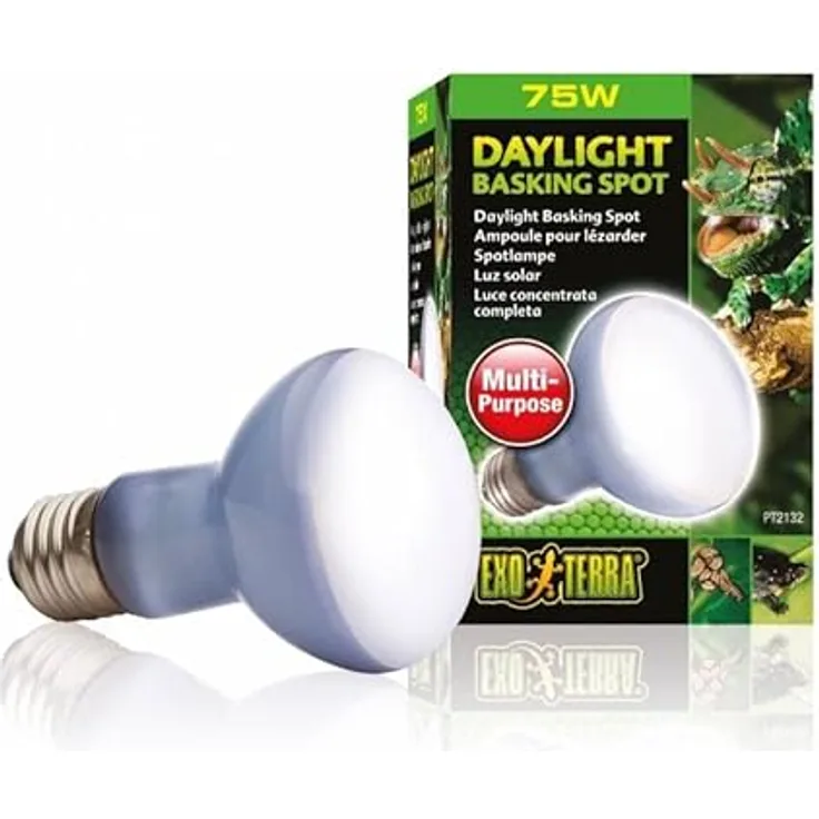Exo Terra Tageslicht Basking Spot, Eidechsenbirne für optimale Terrarienbeleuchtung