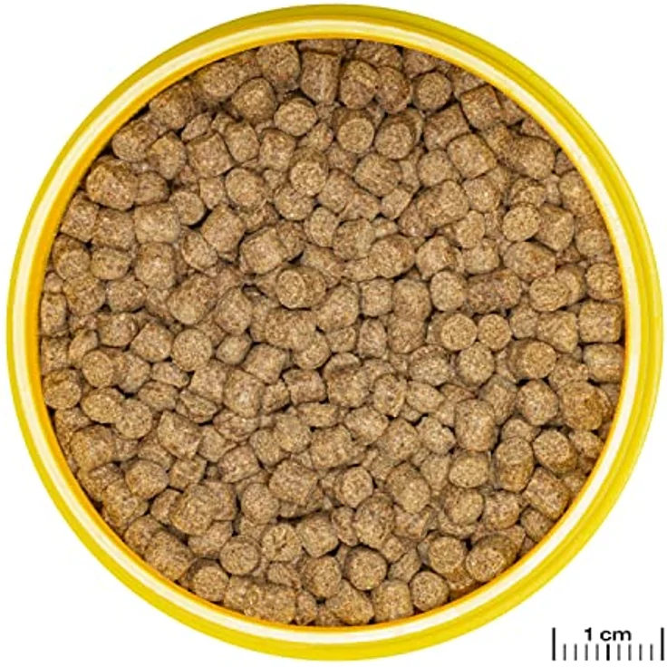 JBL PRONOVO Lotl Grano M, Hauptfutter-Granulat für mittelgroße Axolotl (8-20 cm), 250ml, sinkend und prebiotisch – Bild 2