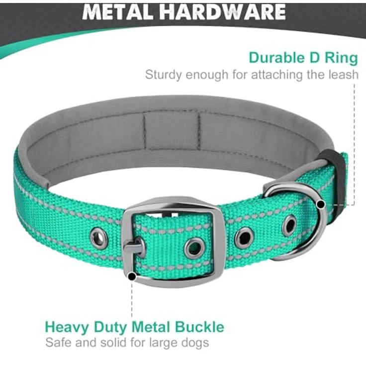 Joytale Neopren Hundehalsband, Gepolstert und Reflektierend für kleine Hunde, Breit, Türkis – Bild 5