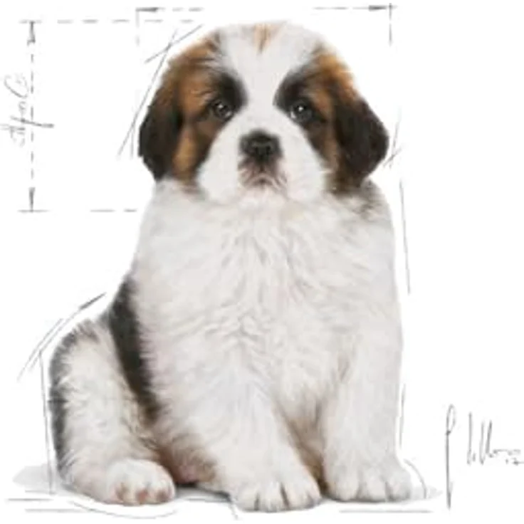 Royal Canin Giant Puppy, Hundefutter für große Rassen, 15 kg, unterstützt Wachstum und natürliche Abwehrkräfte – Bild 5